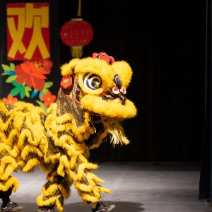 liondance4